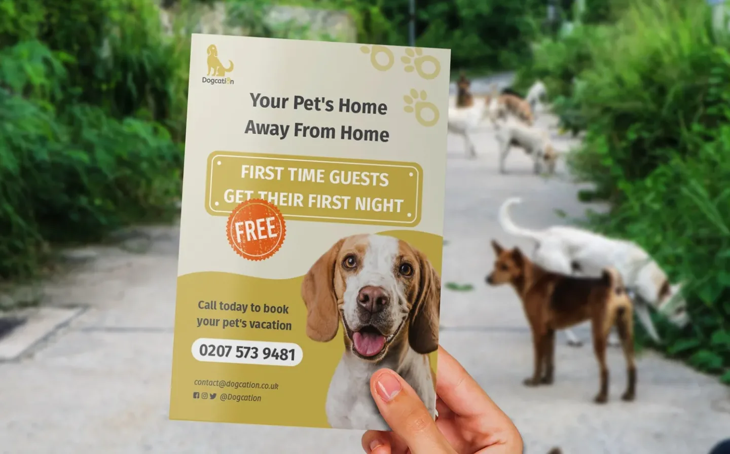 Flyer Animals and Pet Care