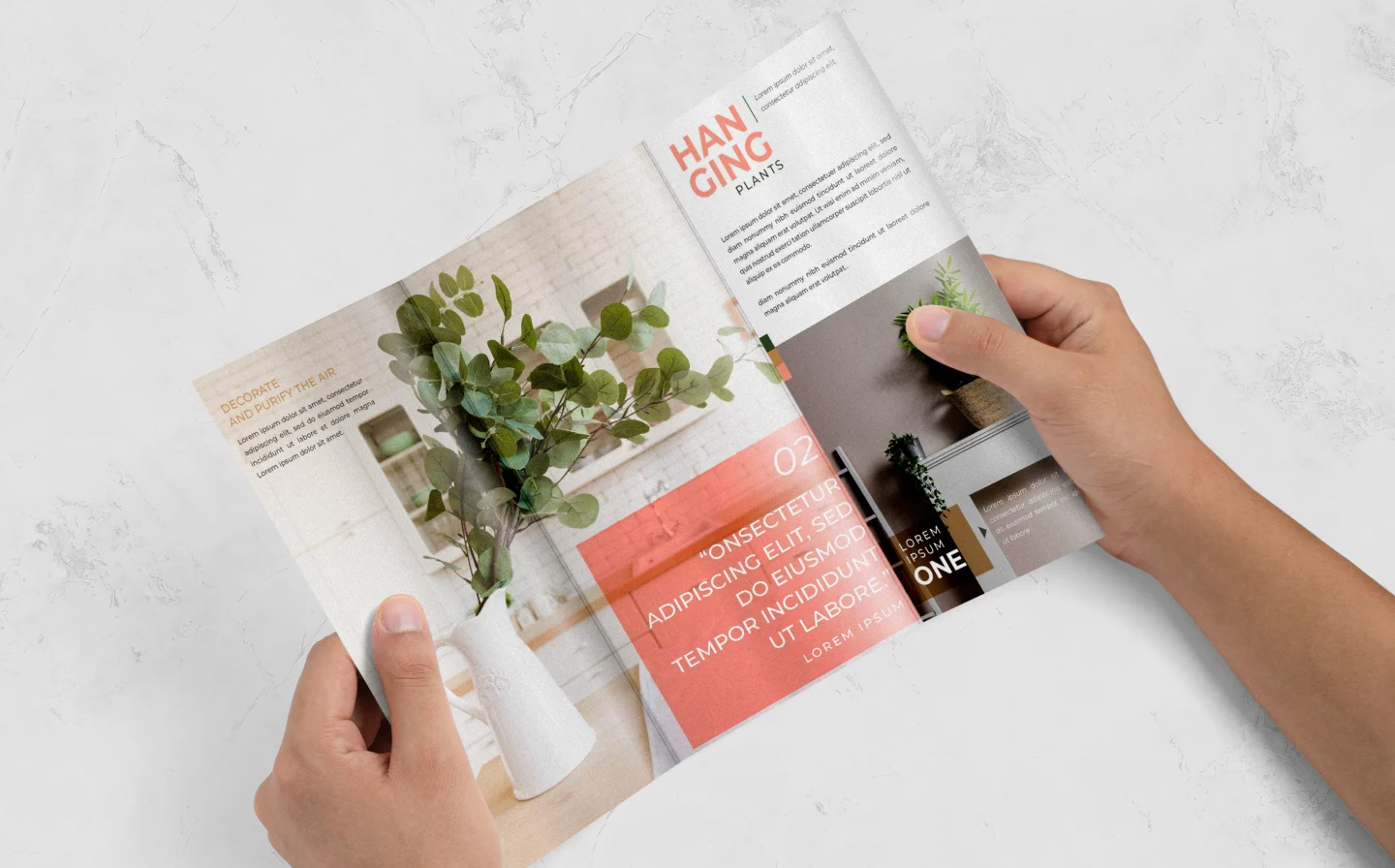 Folded Leaflets Folded Leaflets