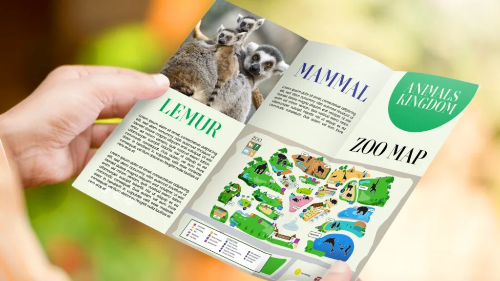 Litho Printed Leaflets