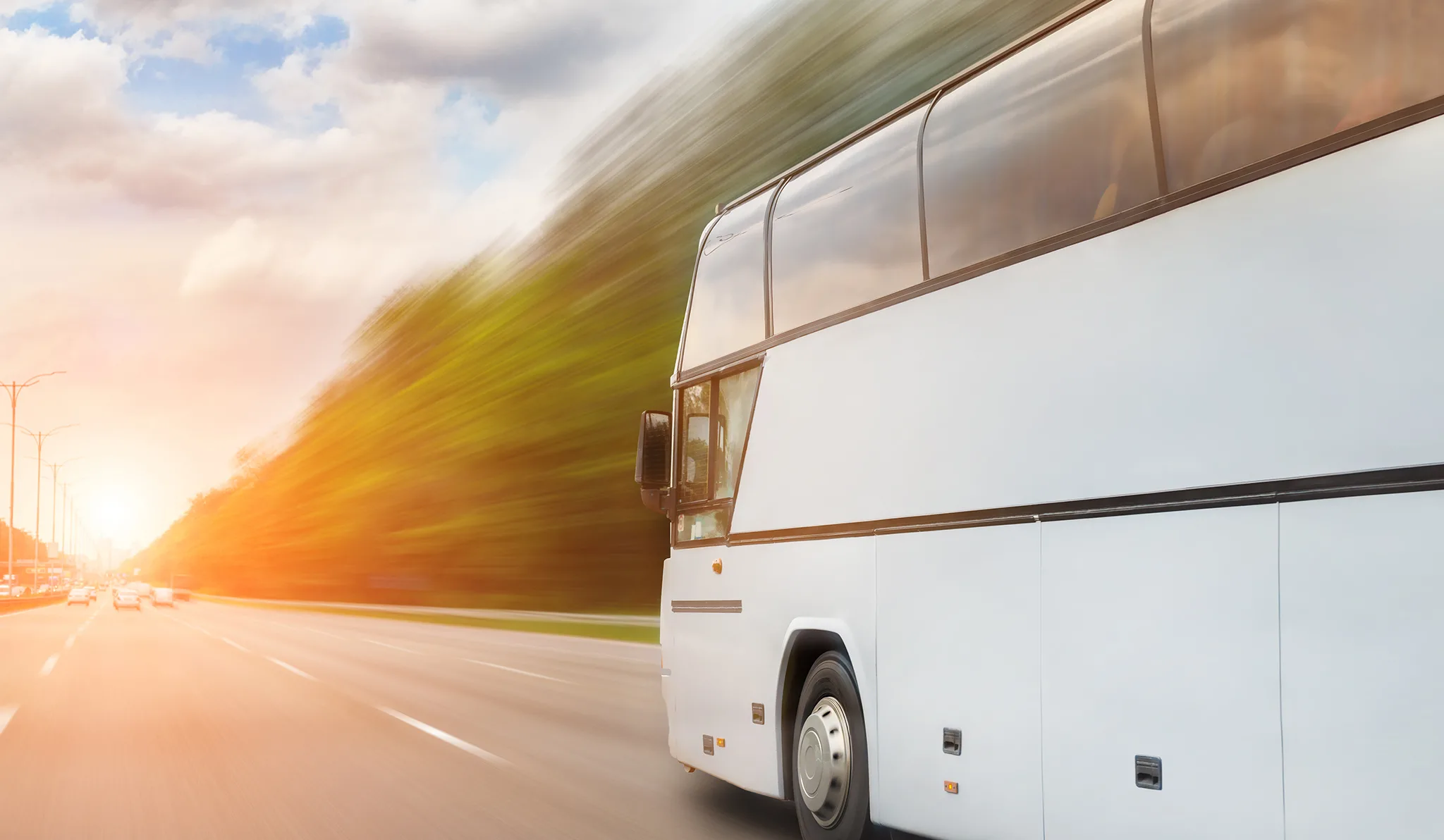 Transport Company Branding