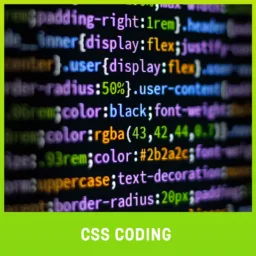 CSS Coding