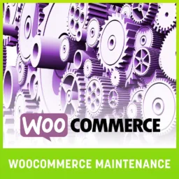 Woocommerce Website Maintenance